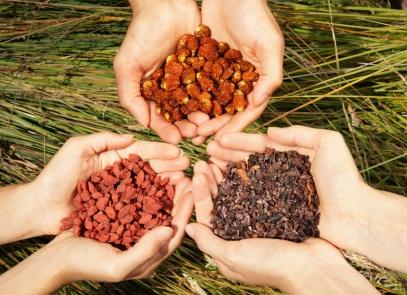 Superfoods