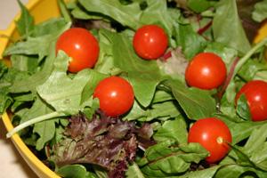 Salad bowl