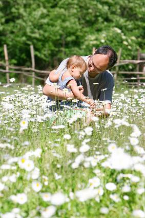 Father and son in a daisy field