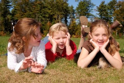 Issues in child custody cases