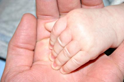Child's hand in adult's