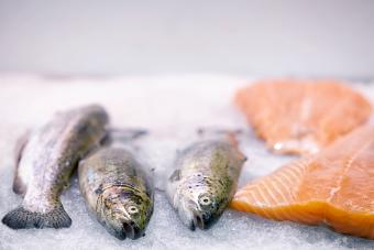 Salmon on ice, waiting to be sold, in market stall