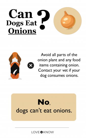 Onions ok cheap for dogs