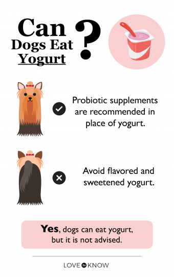 can dogs eat probiotic yoghurt