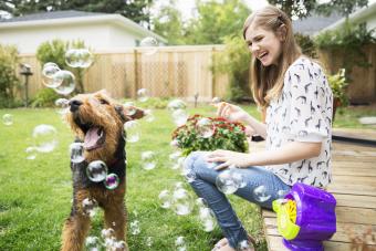 Curious dog playing with bubbles