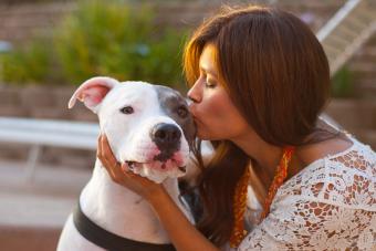 woman kissing pit bull dog