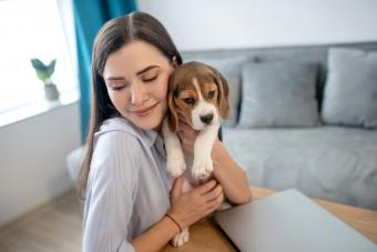 https://cf.ltkcdn.net/dogs/dog-breeds/images/slide/339852-850x567-woman-with-a-cute-little-beagle-1342462260.jpg