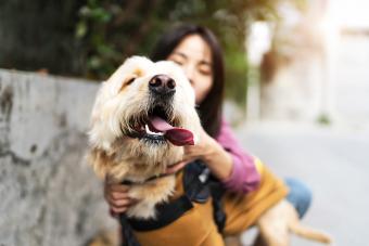 Woman with her dog