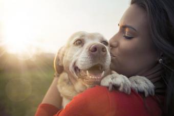 Young woman with her Labrador dog