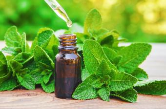 Peppermint oil extract.