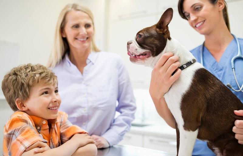 What Is the Canine Dosage of Claritin? LoveToKnow Pets