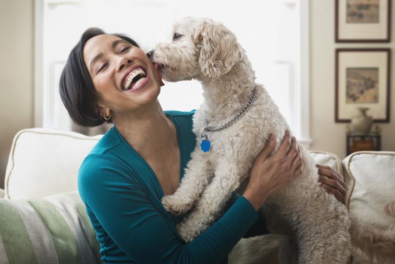 10 Ways Your Dog Shows They Love You LoveToKnow Pets