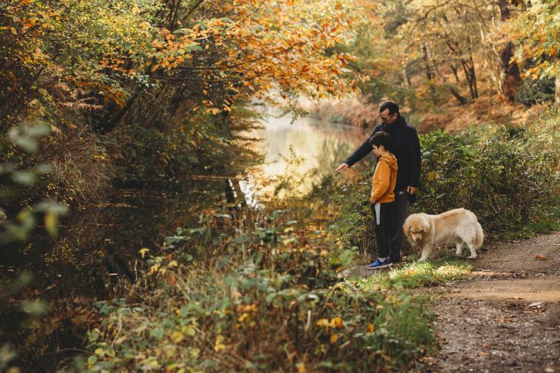 Training and Tips to Keep Your Dog Safe & Protect Wild Critters