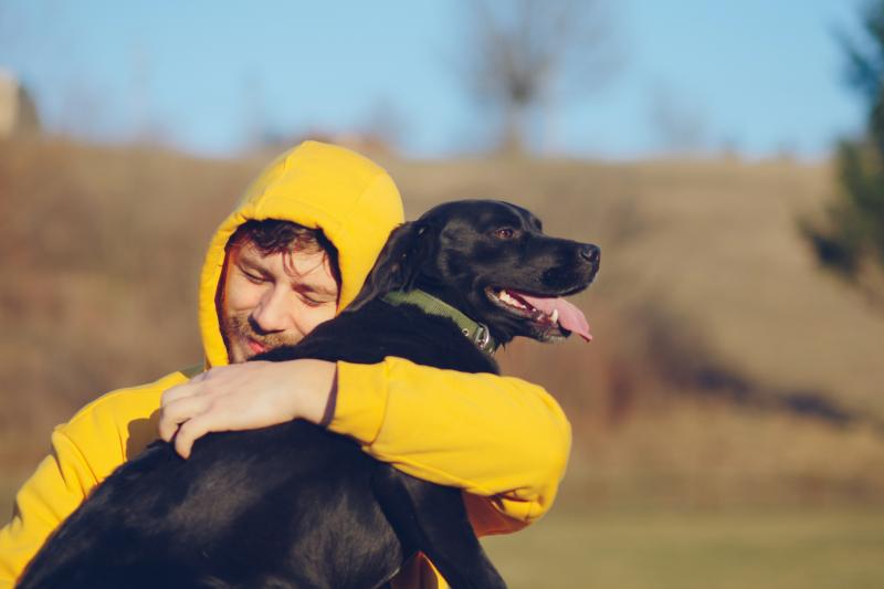 146 Brilliant And Beautiful Black Lab Names LoveToKnow Pets 146-brilliant-and-beautiful-black-lab-names-lovetoknow-pets