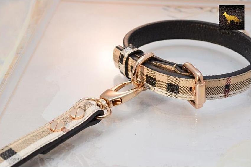 Designer Dog Collars for Your FashionForward Pup LoveToKnow Pets