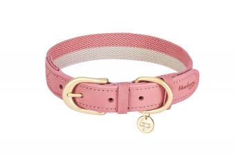 Designer Dog Collars for Your Fashion-Forward Pup | LoveToKnow Pets