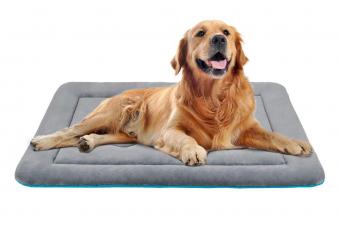 JoicyCo Dog Bed Crate Pad Mat