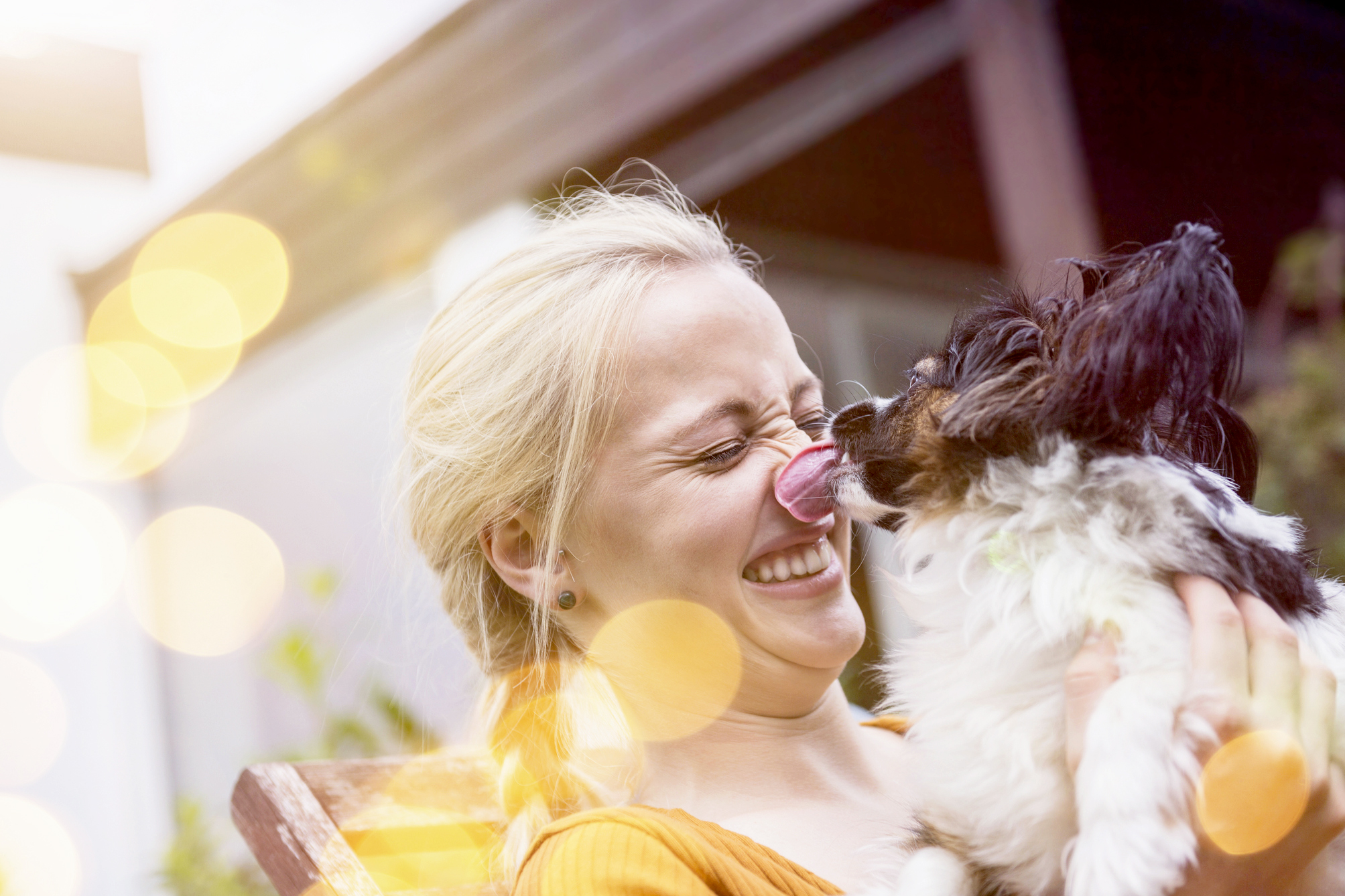 Why Do Dogs Lick You When You Cry