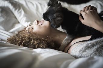 Dog giving their person kisses in bed.