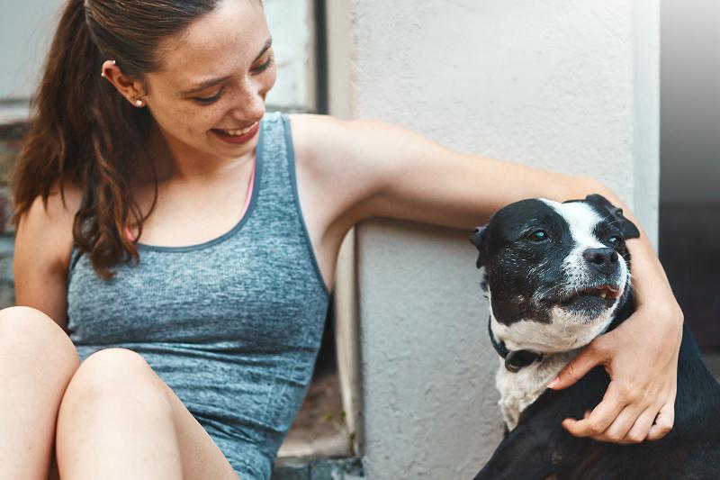 5 Reasons Your Dog Is Ignoring You, and How to Restore Focus