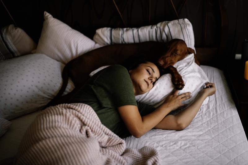 6 Reasons You Should Let Your Dog Sleep in Bed With You LoveToKnow Pets