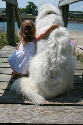 best large dogs for children