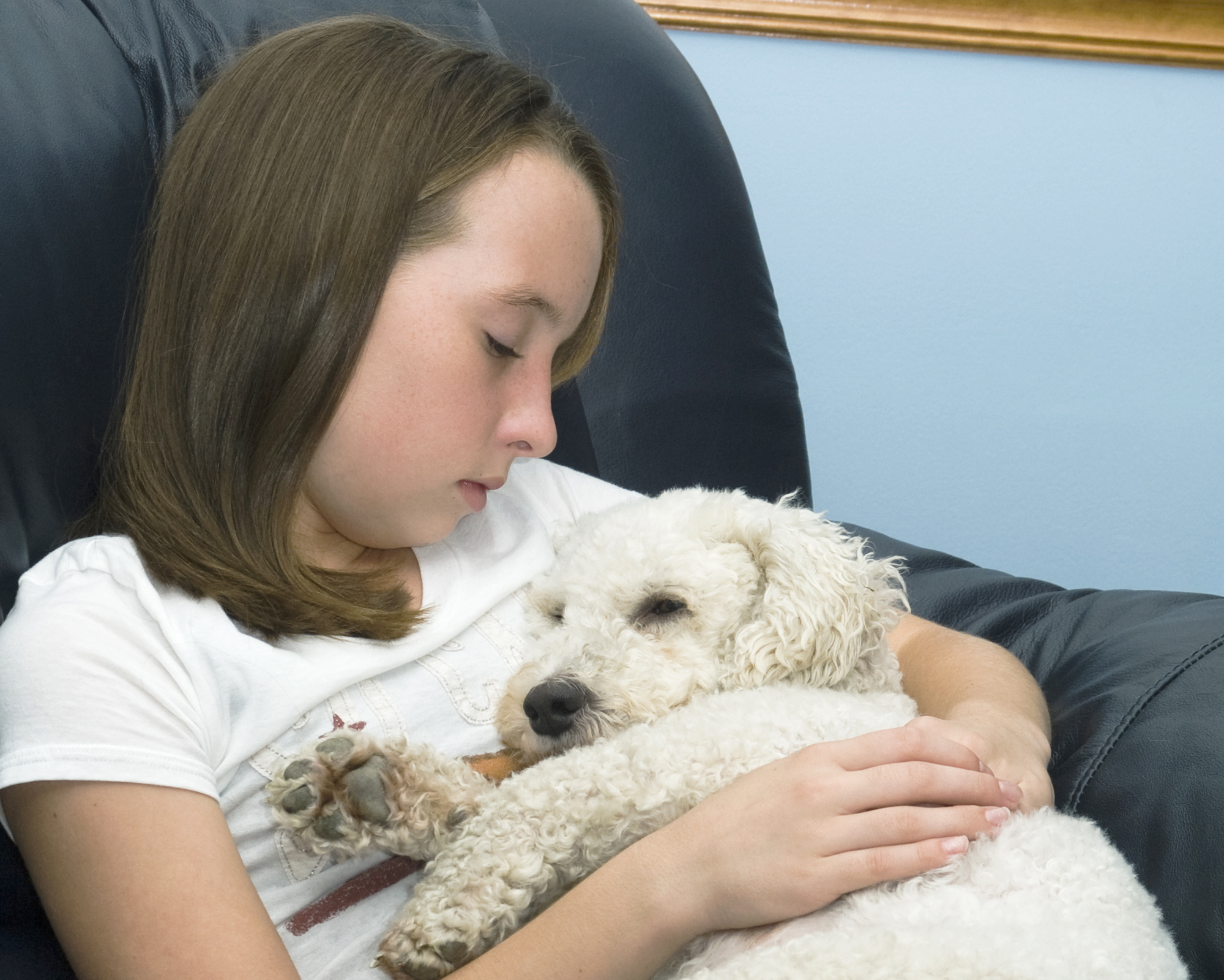 old dog symptoms of dying old dog symptoms of dying