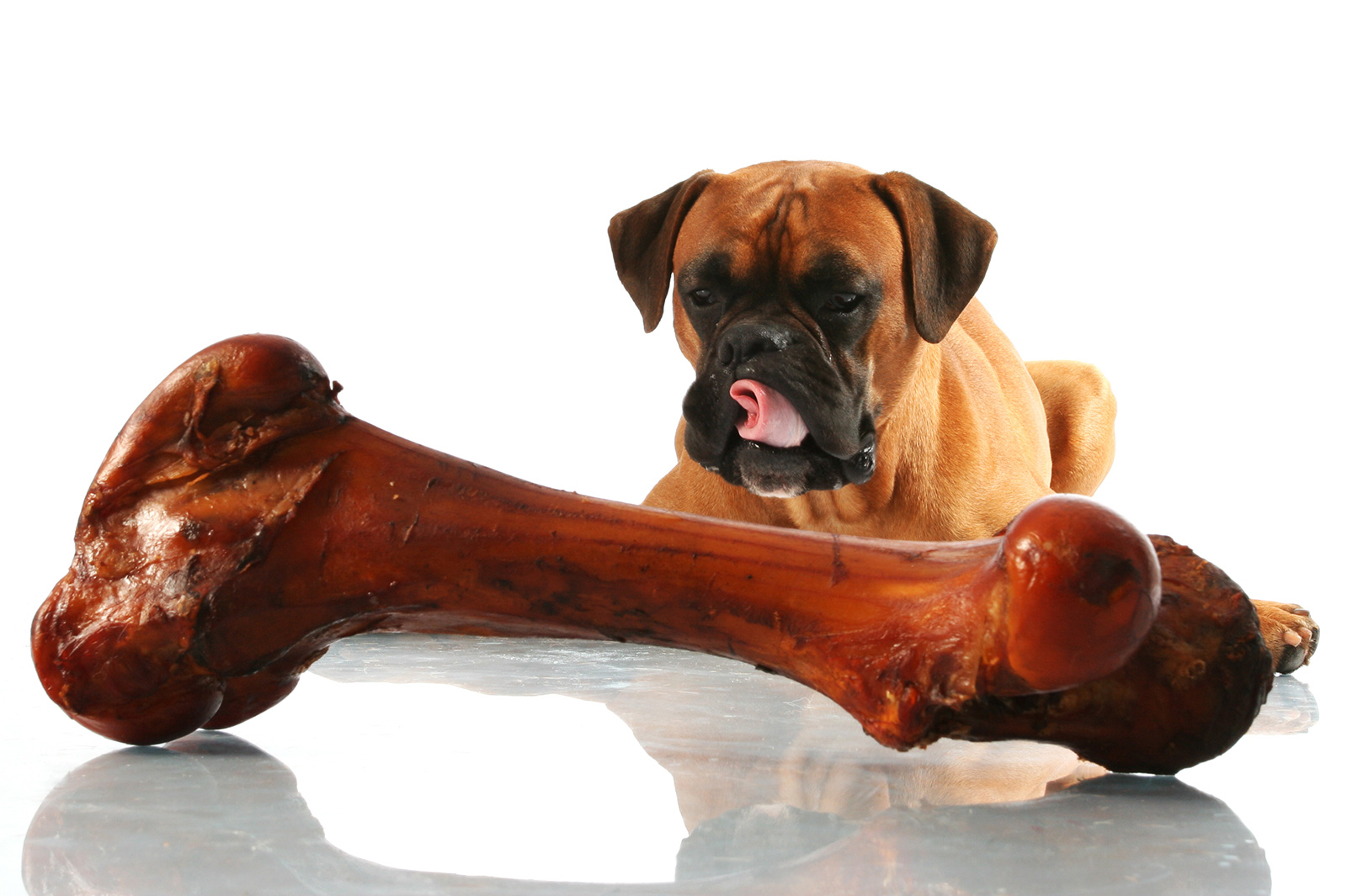 are pork femur bones safe for dogs