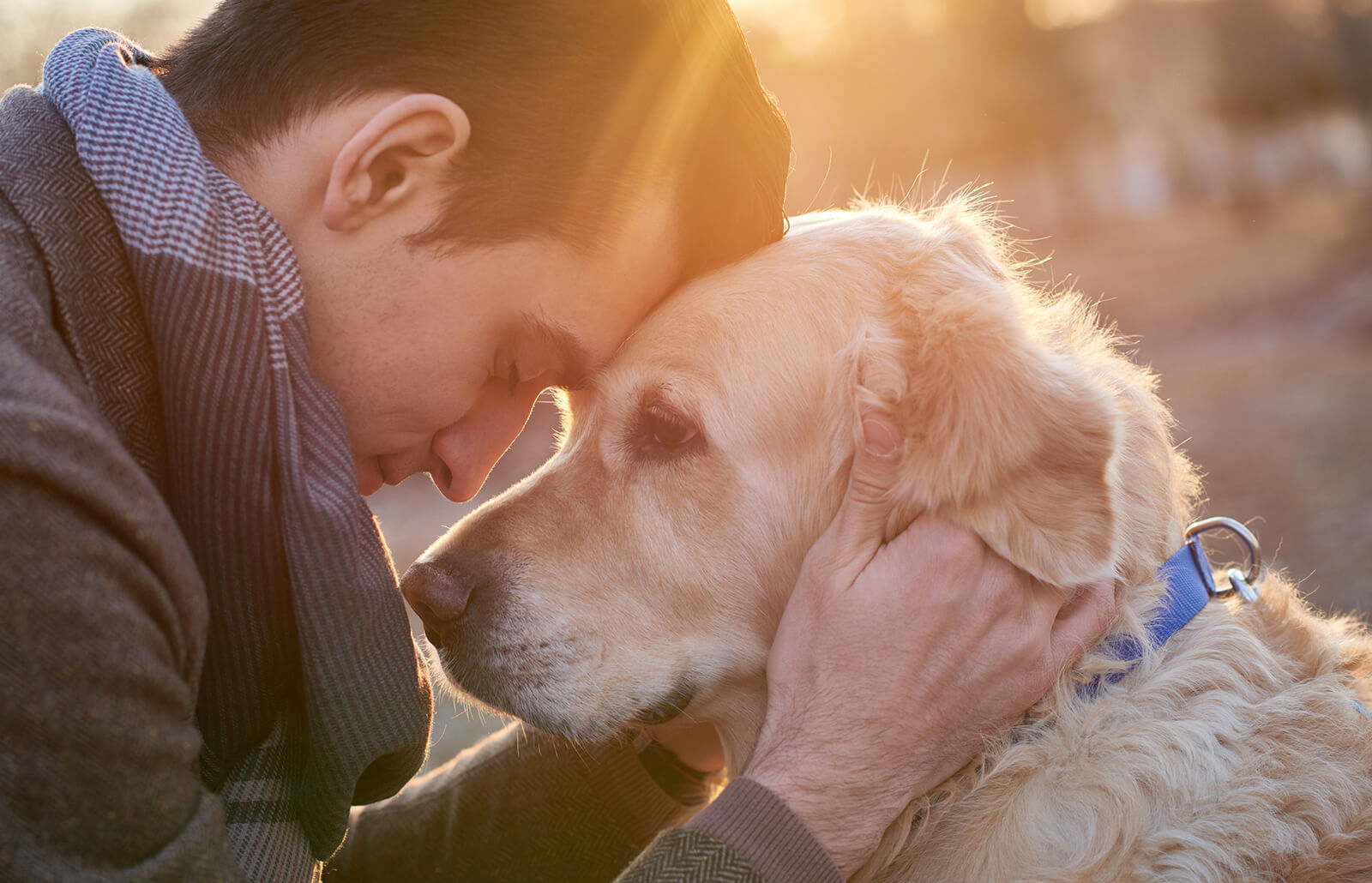 putting your dog to sleep