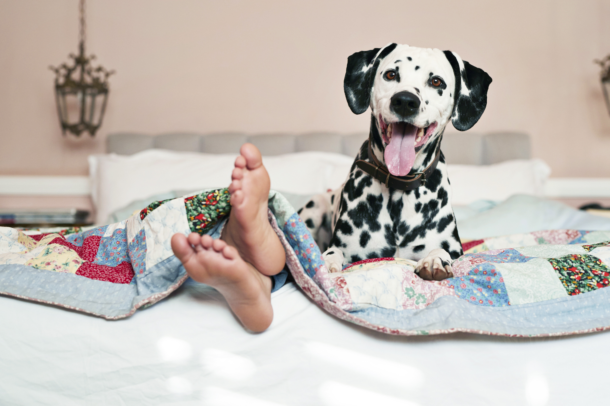 dog name for black and white