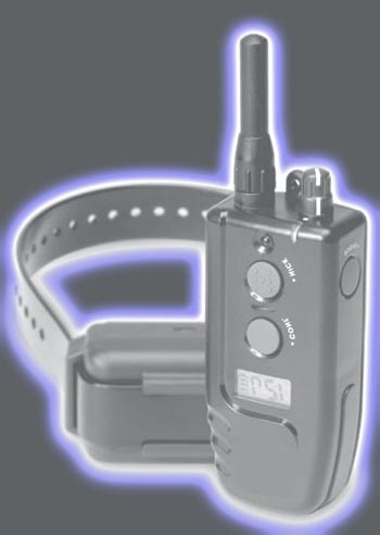 shock collar not working