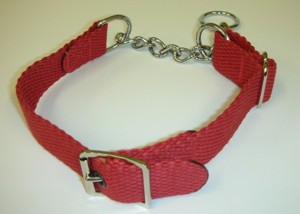 bark busters training collar