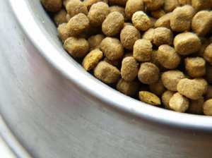 homemade dog food mixed with kibble