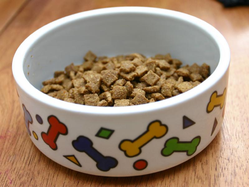 Five Tips for Choosing the Best Dog Food LoveToKnow