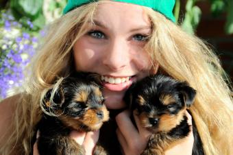 https://cf.ltkcdn.net/dogs/images/slide/179253-850x565-girl-holding-two-puppies.jpg