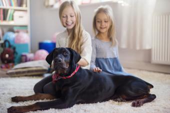 Two sisters petting the family Rottweiler 