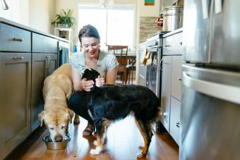 Woman feeding two dogs