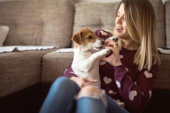 Beautiful young woman playing with her dog at home