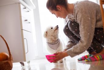 Girl giving water to dog at home