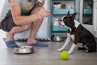 Man feeding his dog