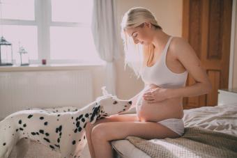 Pregnant woman with her dog