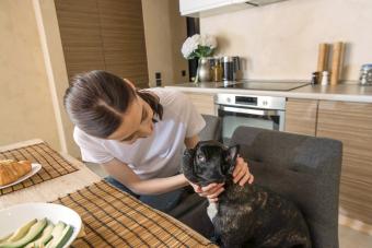 Woman touching french bulldog near avocado on table