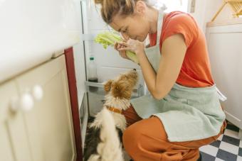Woman taking celery out of the fridge and dog staring at her