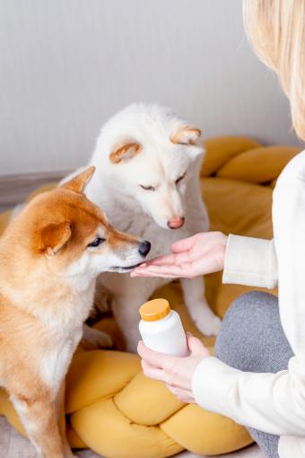 Woman giving her dogs vitamins