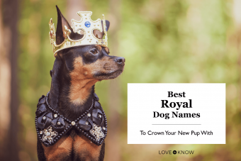 Best Royal Dog Names