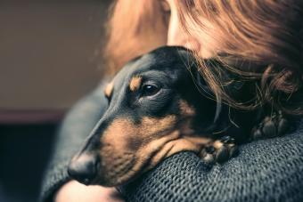 Red-haired woman hugs a sleepy black dachshund
