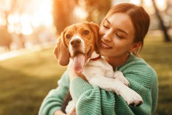 Happy woman embracing beagle dog in park