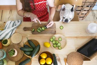 French bulldog watching woman cutting cucumber on table
