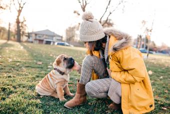 Walking a shar pei puppy
