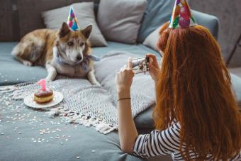 Young women celebrating her dog's birthday at home